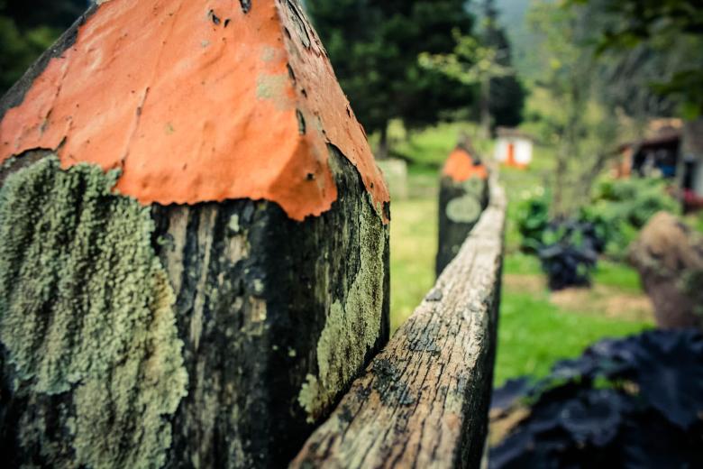 Free stock image of Wood created by Matias Espinosa Botero