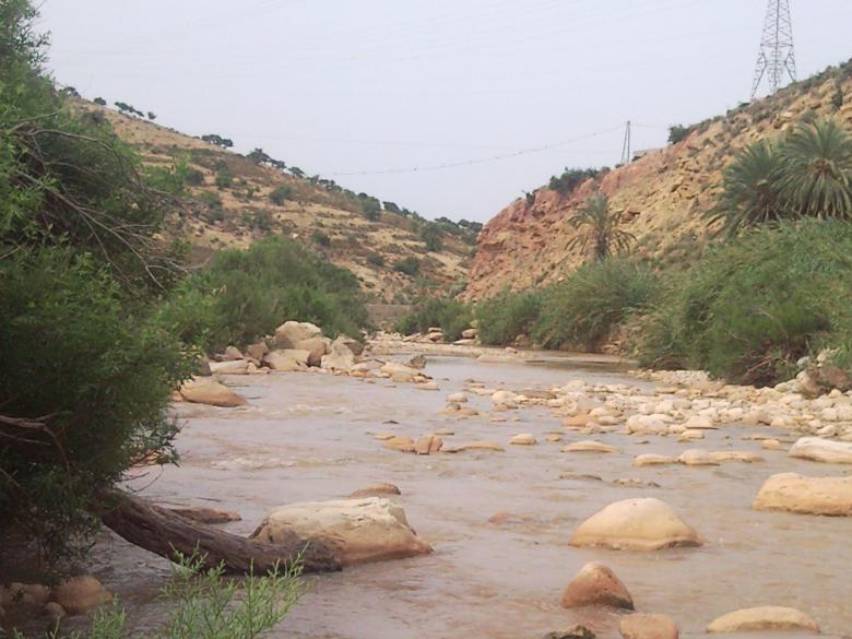 Free stock image of River created by basem