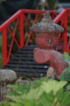 Free Stock Photo of Japanese garden