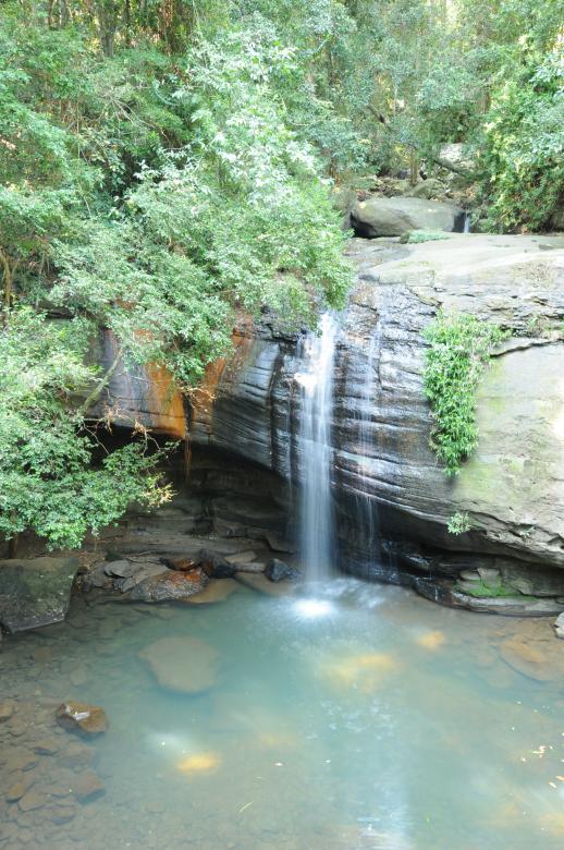 Free stock image of Rainforest Waterfall created by mlle