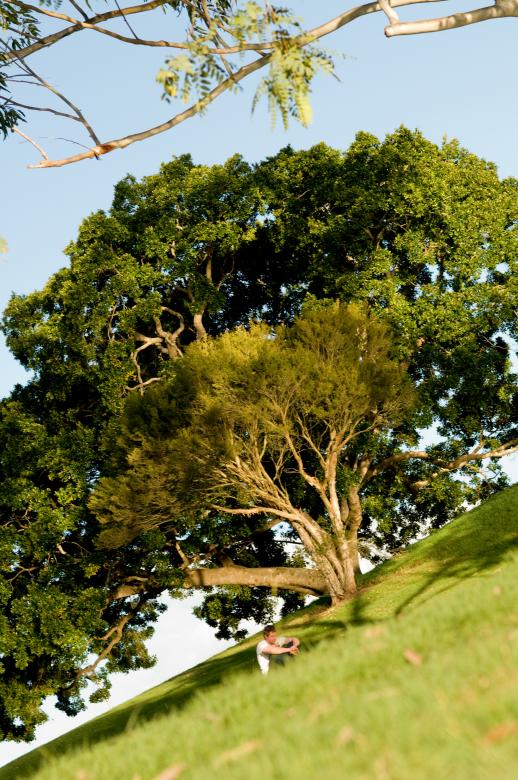Free stock image of Tree in the park created by mlle