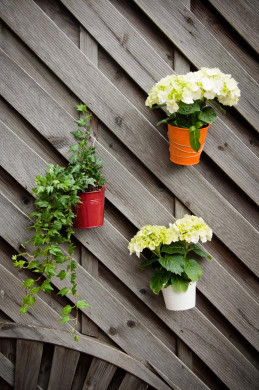 Free stock image of flower pots  created by Luka