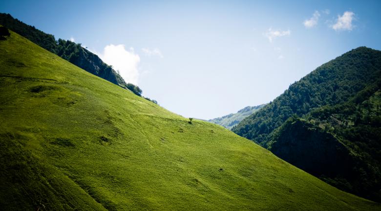 Free stock image of Green hill created by Luka