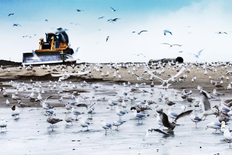 Free stock image of Bulldozer on the beach created by Luka