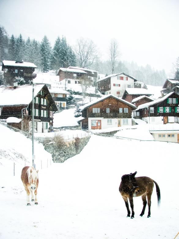Free stock image of Snowy village and horses created by Luka