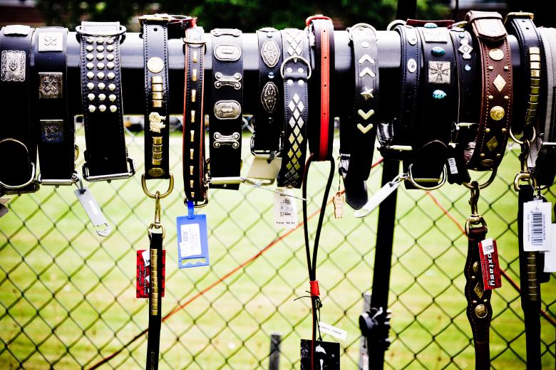 Free stock image of Gog leashes for sale created by Luka