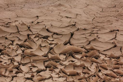 Arid land
