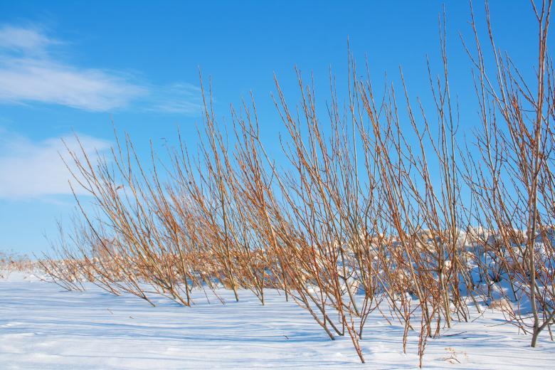 Free stock image of Winter created by 2happy