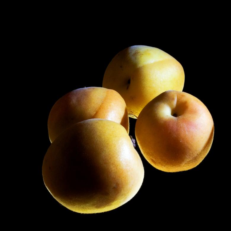Free stock image of Apricots created by 2happy
