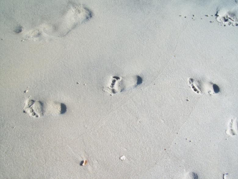 Free stock image of Sandy feet created by Stephanie Lawton