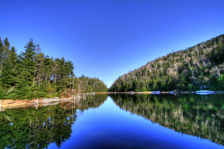 Free stock image of Lac Spruce - HDR created by Nicolas Raymond