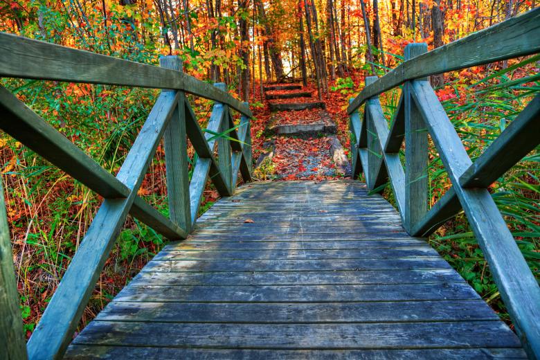 Free stock image of Bridge to Fall - HDR created by Nicolas Raymond