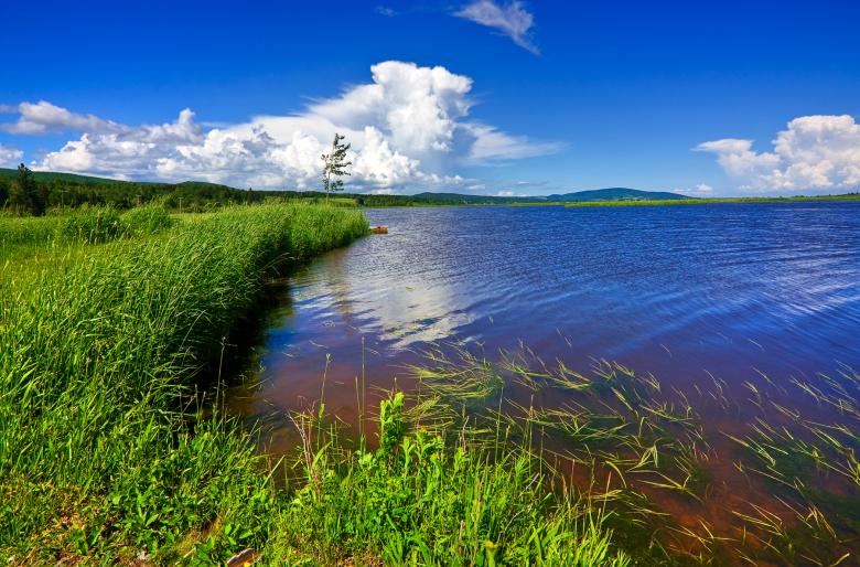 Free stock image of Beaver Brook - HDR created by Nicolas Raymond