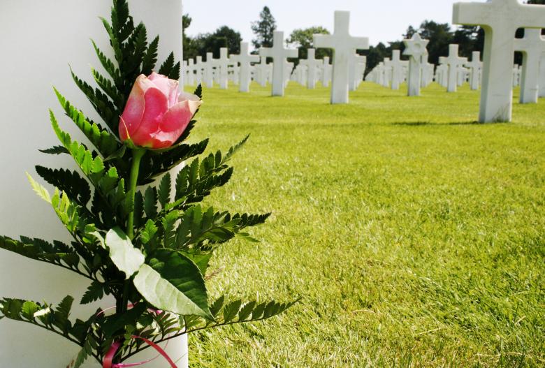 Free stock image of Flower at grave created by Luka