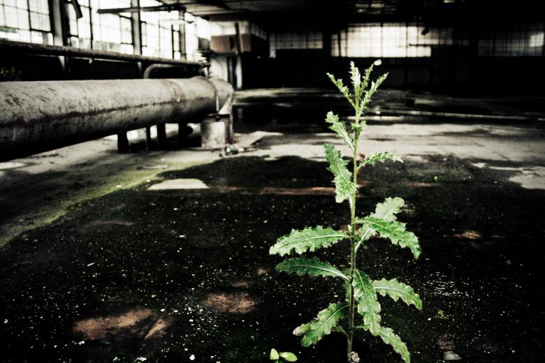 Free stock image of Abandoned factory created by Luka
