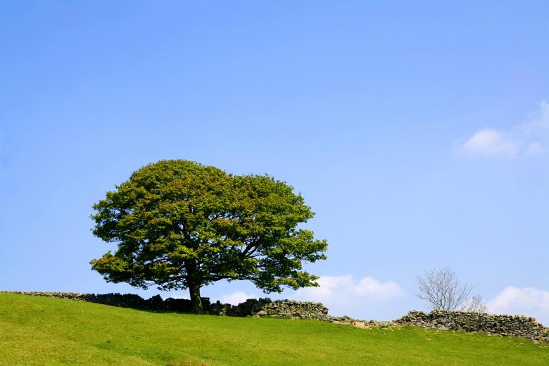 Free stock image of Head for the shade created by paul clifton
