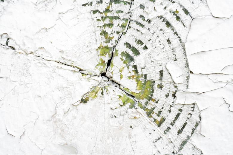 Free stock image of Cracked Wood Texture created by Nicolas Raymond