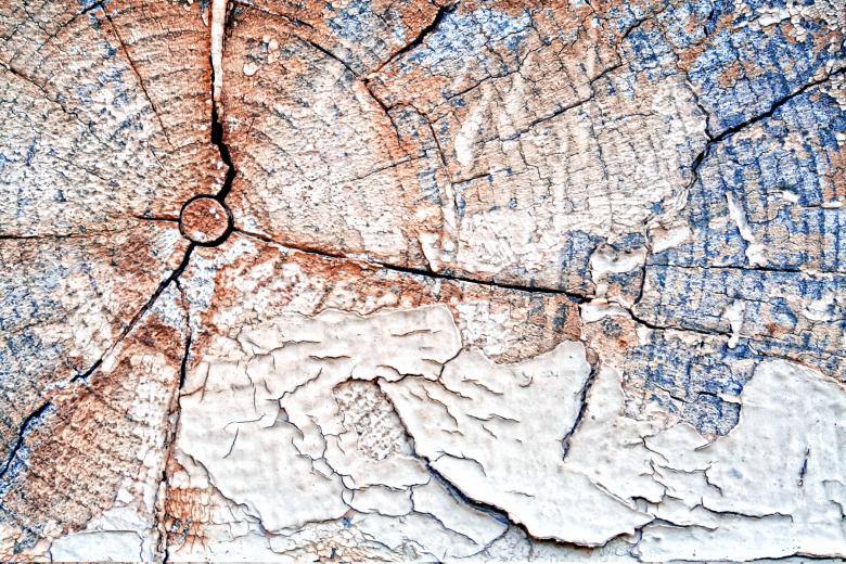 Free stock image of Cracked Wood Texture created by Nicolas Raymond