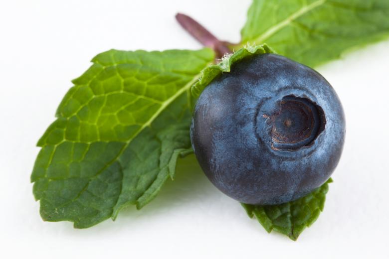 Free stock image of Blueberry and Mint created by Nicolas Raymond