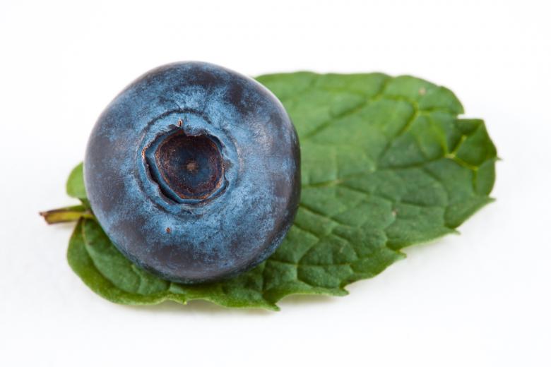 Free stock image of Blueberry and Mint created by Nicolas Raymond