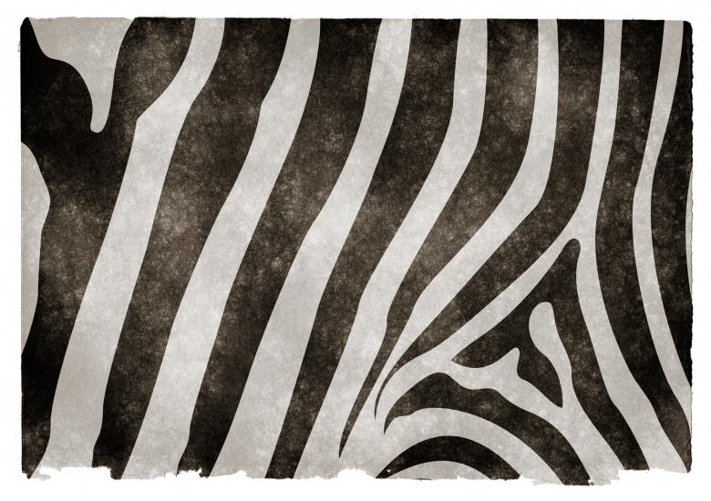 Free stock image of Zebra Stripes Grunge Paper created by Nicolas Raymond