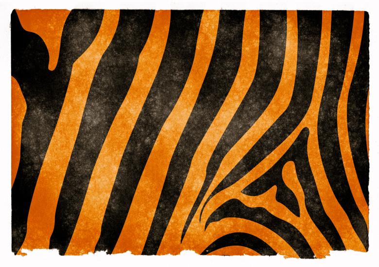 Free stock image of Tiger Stripes Grunge Paper created by Nicolas Raymond