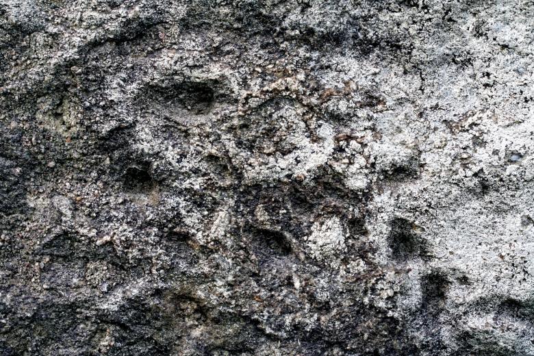 Free stock image of Weathered Stone Texture created by Nicolas Raymond