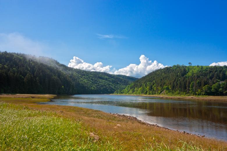 Free stock image of Fundy Park Scenery - HDR created by Nicolas Raymond