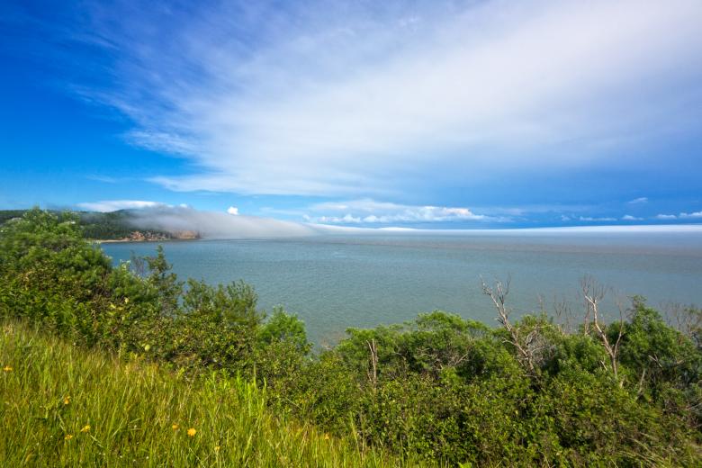 Free stock image of Fundy Park Scenery - HDR created by Nicolas Raymond