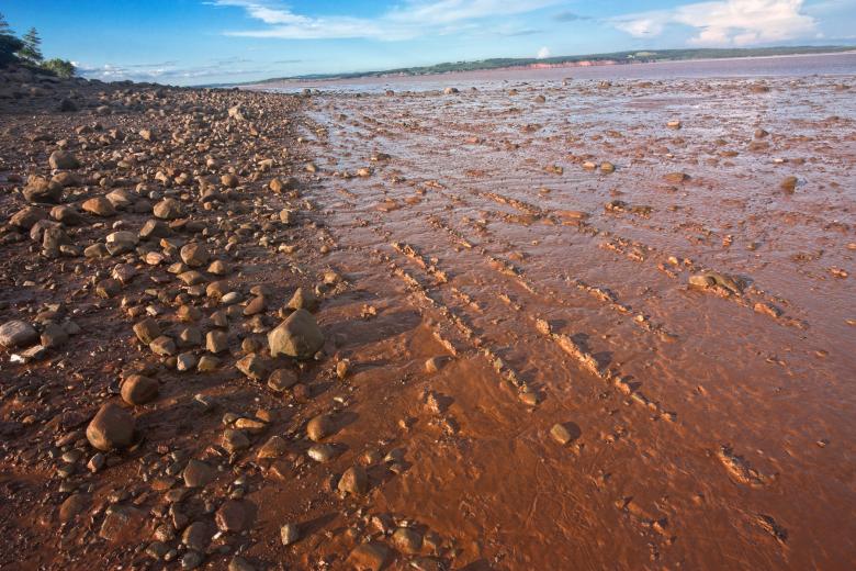 Free stock image of Hopewell Beach created by Nicolas Raymond