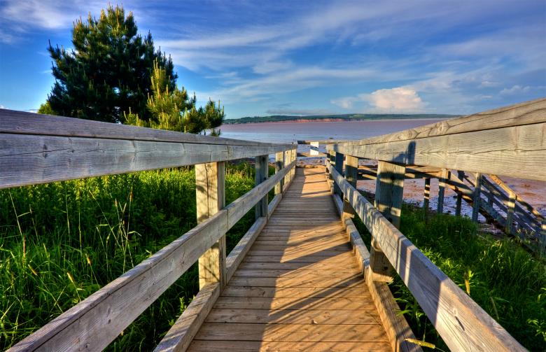 Free stock image of Hopewell Beach Boardwalk - HDR created by Nicolas Raymond