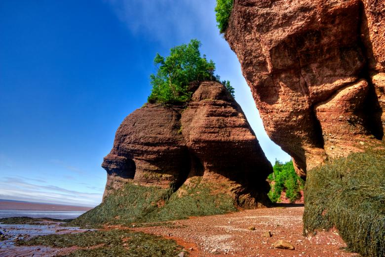 Free stock image of Flowerpot Rocks - HDR created by Nicolas Raymond