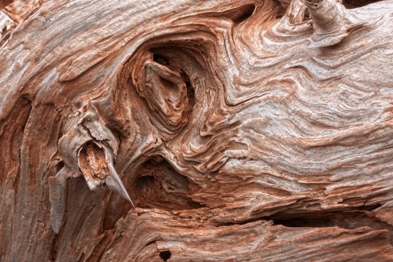 Free stock image of Cracked Beachwood Texture - HDR created by Nicolas Raymond