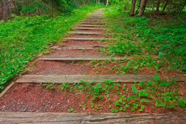 Free stock image of Forest Trail - HDR created by Nicolas Raymond
