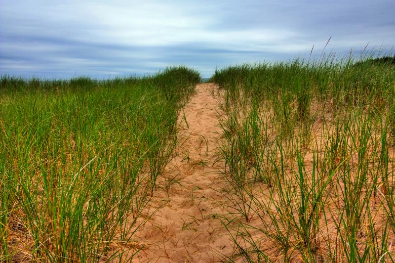 Free stock image of Beach Trail - HDR created by Nicolas Raymond