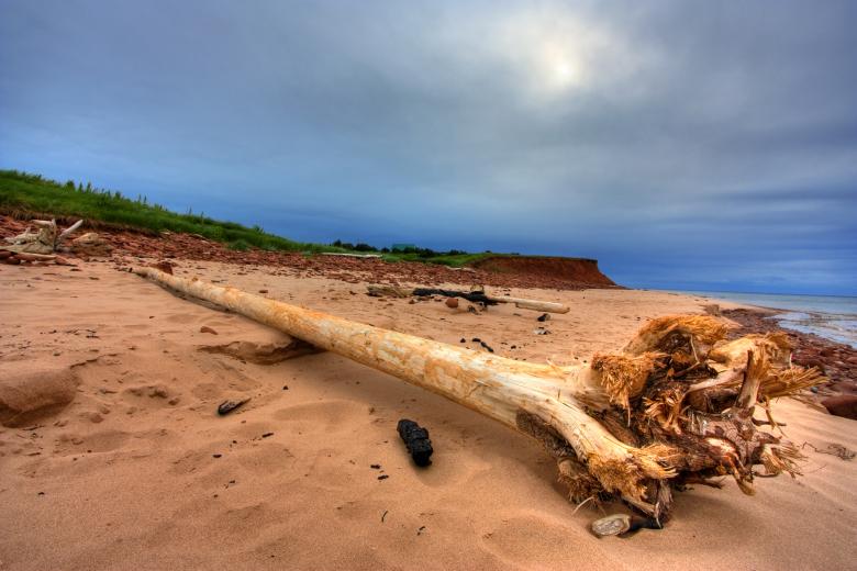 Free stock image of PEI Beach Scenery - HDR created by Nicolas Raymond