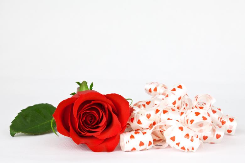 Free stock image of Red Rose and Ribbons created by Nicolas Raymond