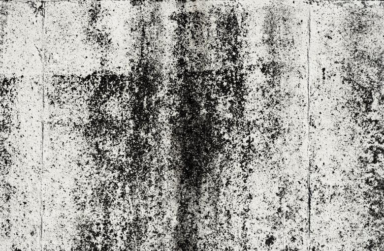 Free stock image of Grunge Concrete Wall created by Bjorgvin