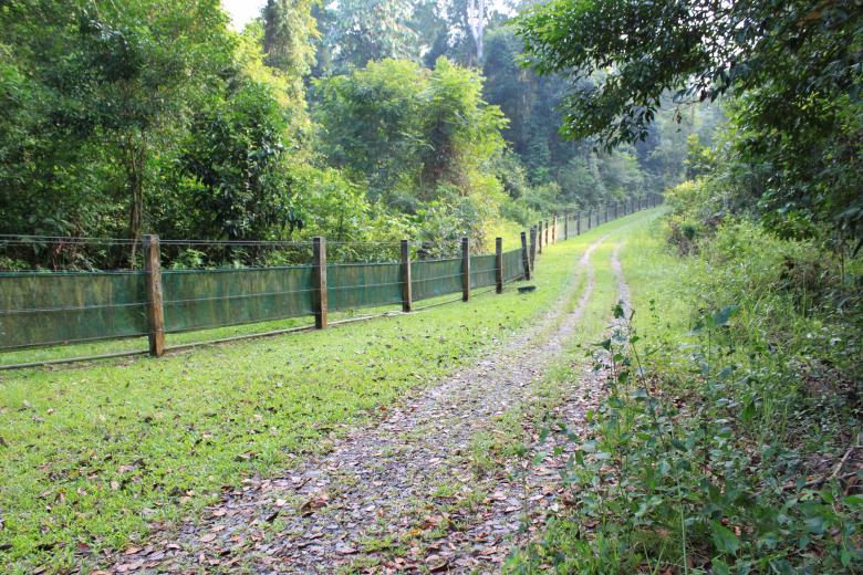 Free stock image of Dirt Road created by Gebyar Andyono