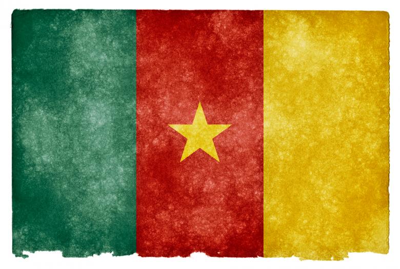 Free stock image of Cameroon Grunge Flag created by Nicolas Raymond