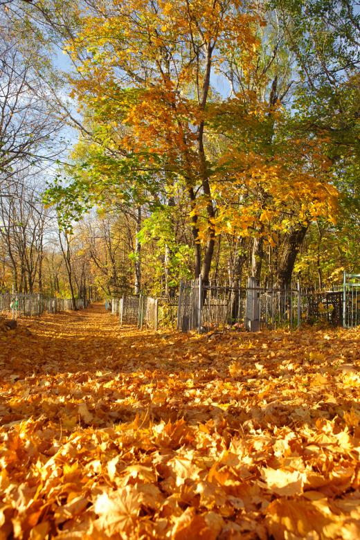 Free stock image of Autumn created by 2happy