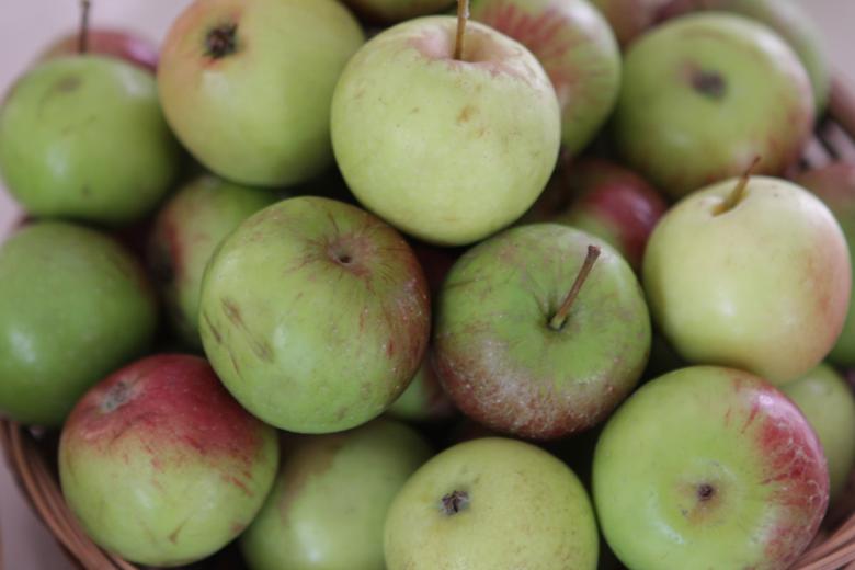 Free stock image of Apples created by Gebyar Andyono