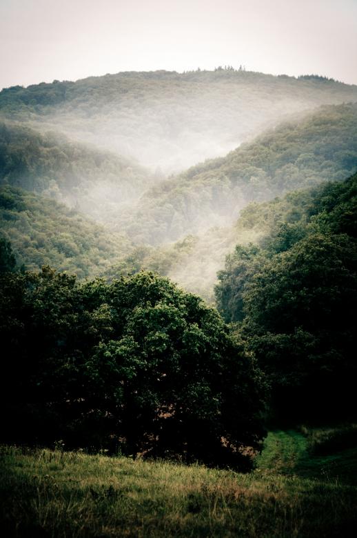 Free stock image of Mist created by Luka