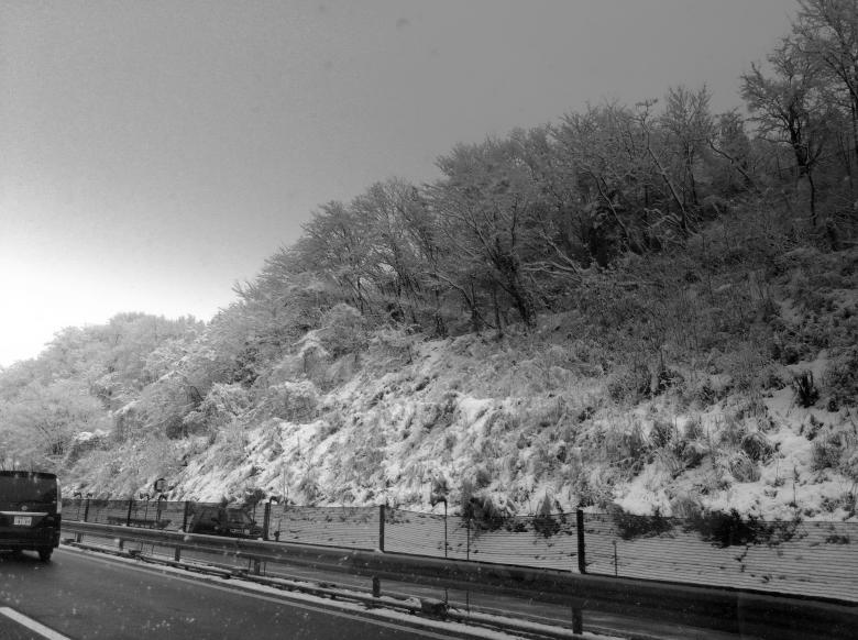 Free stock image of Snow road created by Karla Hara
