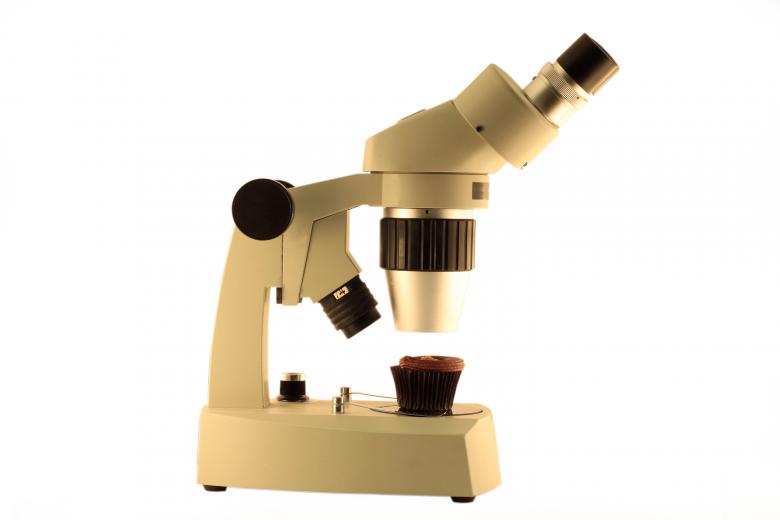 Free stock image of Food Microbiology created by Geoffrey Whiteway