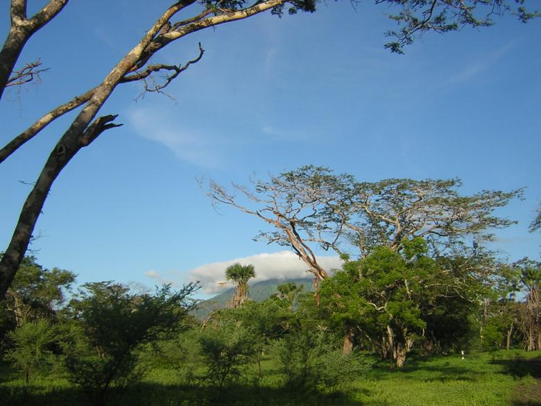 Free stock image of Landscape of Grassland created by Gebyar Andyono