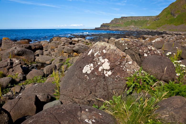 Free stock image of Giants Causeway created by Nicolas Raymond