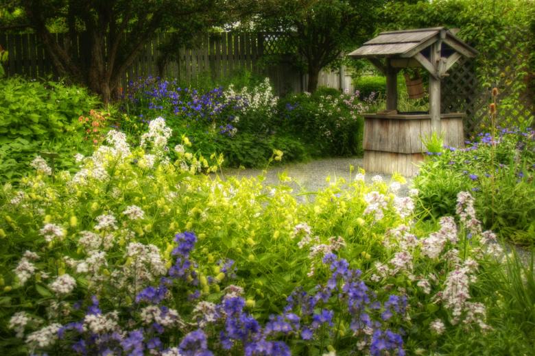 Free stock image of  Flower Garden created by Geoffrey Whiteway