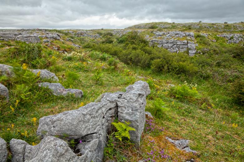 Free stock image of Poulnabrone Landscape - HDR created by Nicolas Raymond