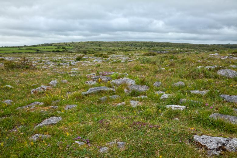 Free stock image of Poulnabrone Landscape - HDR created by Nicolas Raymond